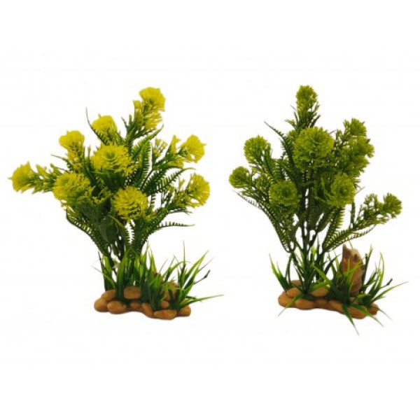 ΔΙΑΚΟΣΜΗΤΙΚΟ ΦΥΤΟ ΕΝΥΔΡΕΙΟΥ ΣΕ 2 ΧΡΩΜΑΤΑ 19Χ9CM